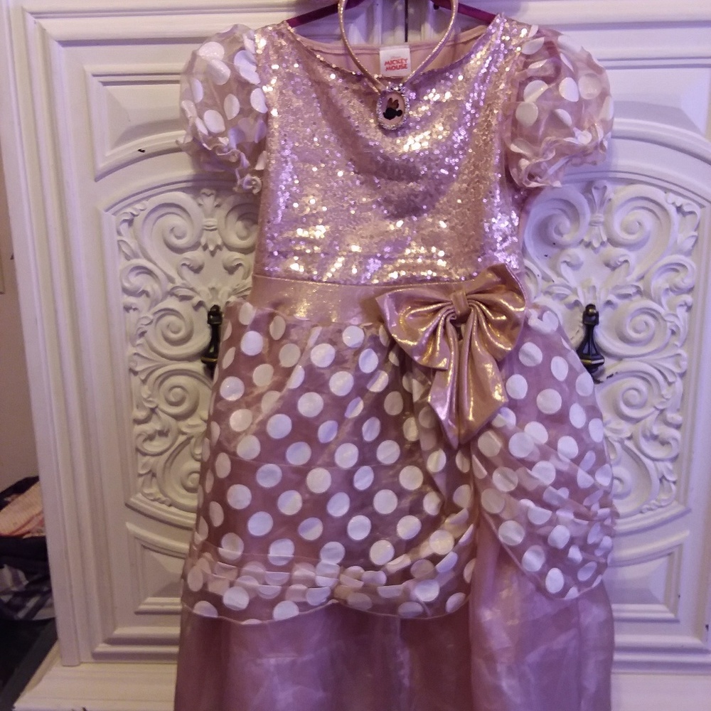 Rose gold minnie mouse costume